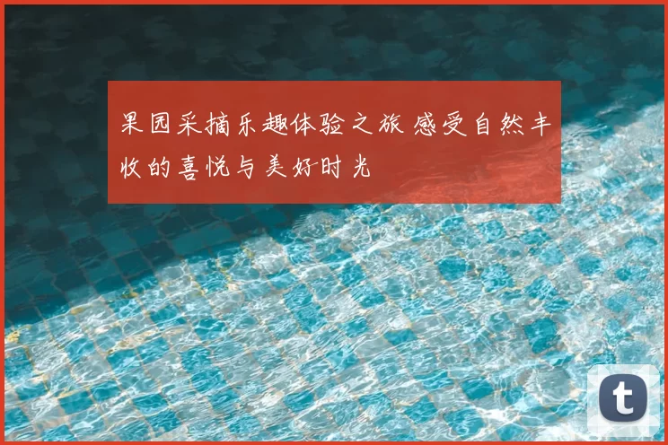 果园采摘乐趣体验之旅 感受自然丰收的喜悦与美好时光