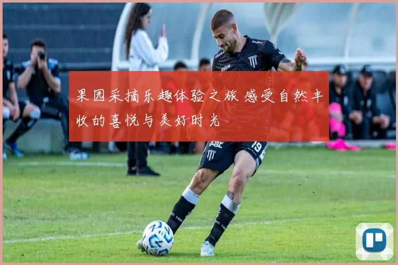 果园采摘乐趣体验之旅 感受自然丰收的喜悦与美好时光