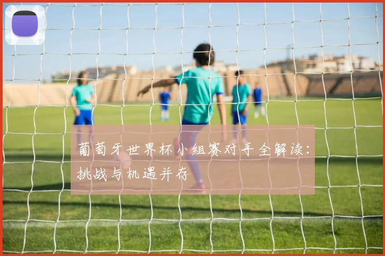 葡萄牙世界杯小组赛对手全解读:挑战与机遇并存