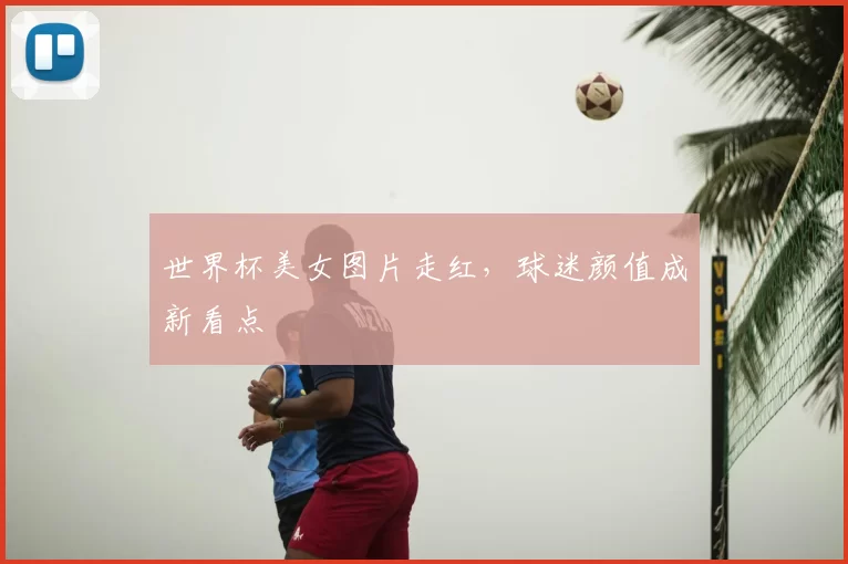 世界杯美女图片走红,球迷颜值成新看点