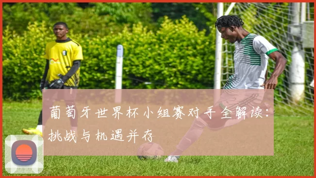 葡萄牙世界杯小组赛对手全解读:挑战与机遇并存