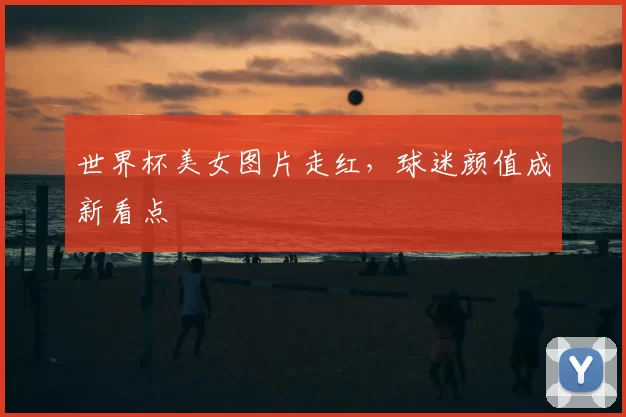 世界杯美女图片走红,球迷颜值成新看点