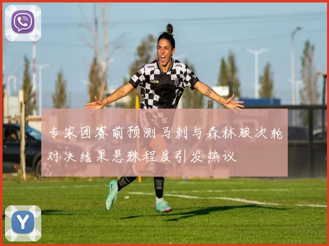 专家团赛前预测马刺与森林狼次轮对决结果悬殊程度引发热议