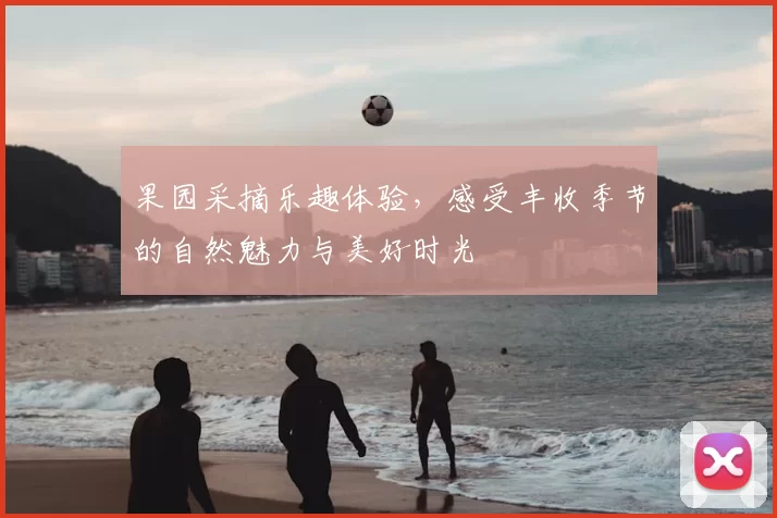 果园采摘乐趣体验,感受丰收季节的自然魅力与美好时光