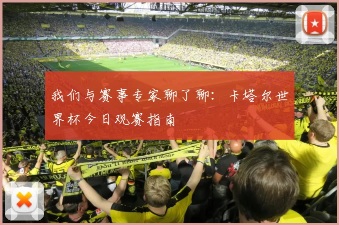 我们与赛事专家聊了聊:卡塔尔世界杯今日观赛指南