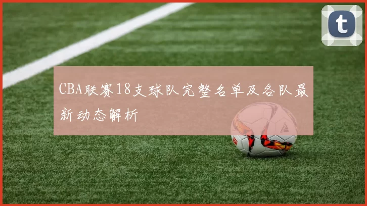 CBA联赛18支球队完整名单及各队最新动态解析