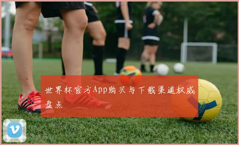 世界杯官方App购买与下载渠道权威盘点