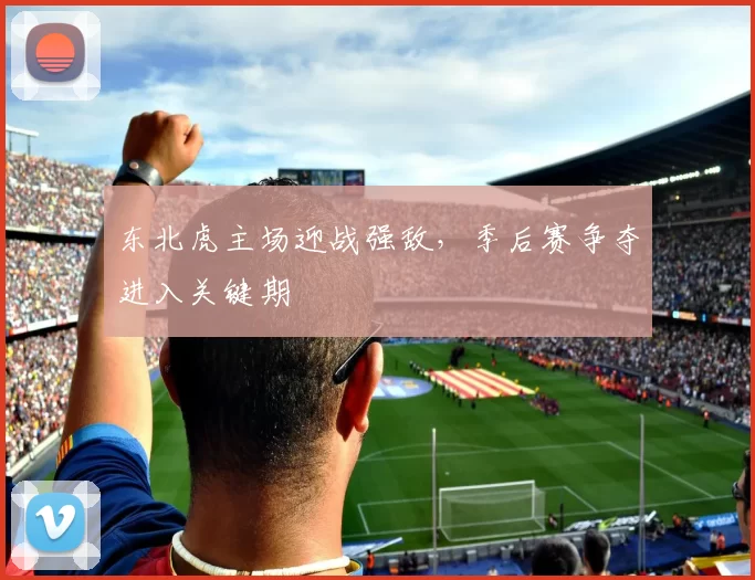 东北虎主场迎战强敌,季后赛争夺进入关键期