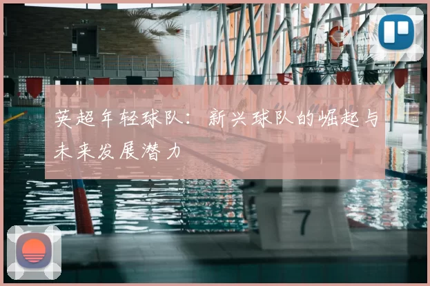 英超年轻球队:新兴球队的崛起与未来发展潜力