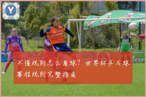 不懂规则怎么看球？世界杯乒乓球赛程规则完整指南