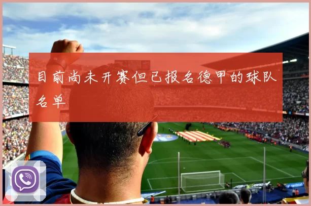 目前尚未开赛但已报名德甲的球队名单