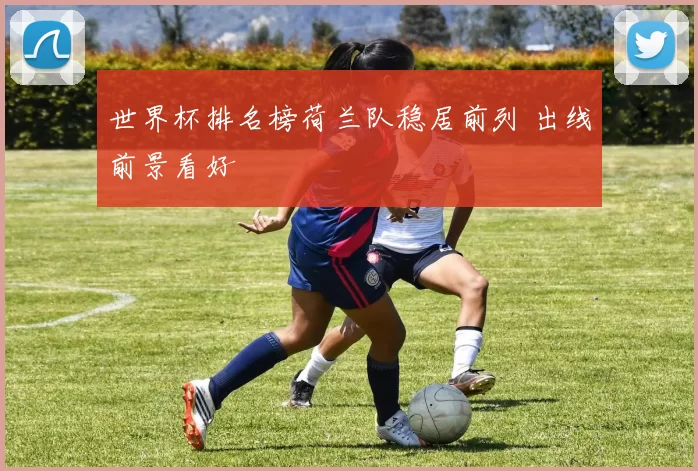 世界杯排名榜荷兰队稳居前列 出线前景看好