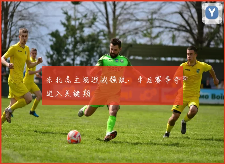 东北虎主场迎战强敌,季后赛争夺进入关键期