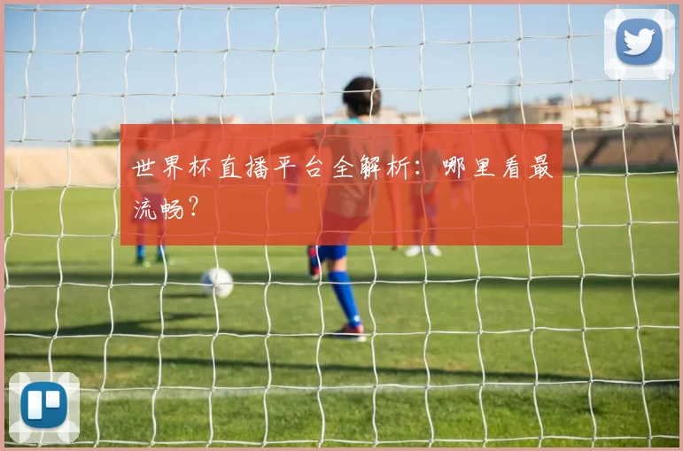 世界杯直播平台全解析：哪里看最流畅？