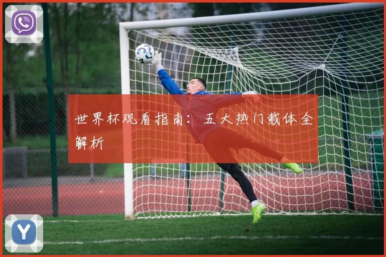世界杯观看指南:五大热门载体全解析
