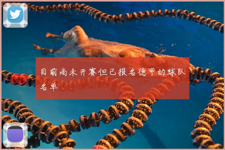 目前尚未开赛但已报名德甲的球队名单