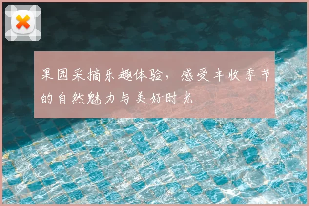 果园采摘乐趣体验,感受丰收季节的自然魅力与美好时光