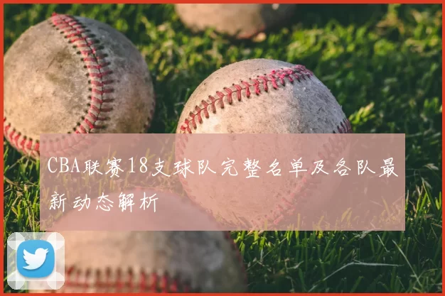 CBA联赛18支球队完整名单及各队最新动态解析