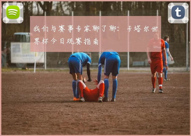 我们与赛事专家聊了聊:卡塔尔世界杯今日观赛指南