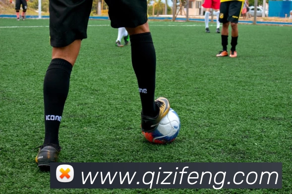 华体会手机网页版APP 封面图